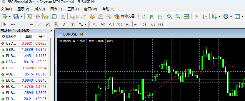 mt4电脑版成功打开新建应用