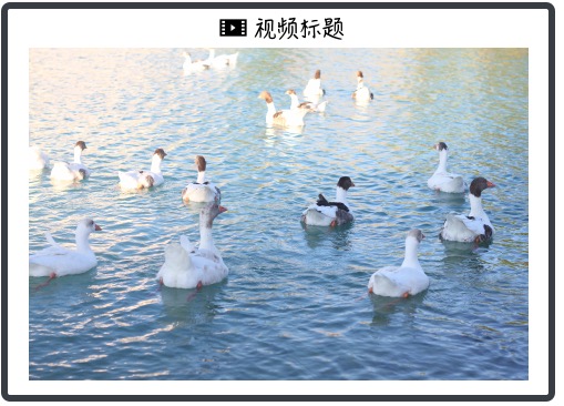 抨擊納瓦羅、社媒挺貿易、私聊特朗普，馬斯克不掩飾的反對特朗普關稅 - 圖片1