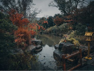 李強主持召開國務院常務會議 部署開展美麗河湖保護與建設行動等