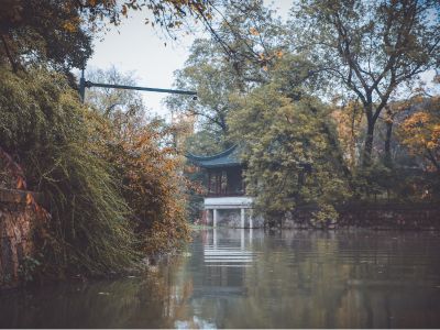 財政部部長藍佛安：中方將採取更加積極有爲的宏觀政策 有信心實現2025年的5%左右增長目標