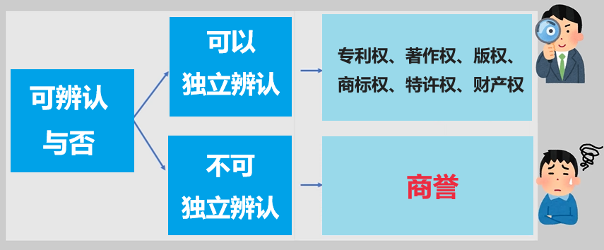 无形资产的分类标准