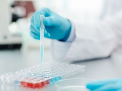 特朗普誓言降低药价 减肥药或成打击目标