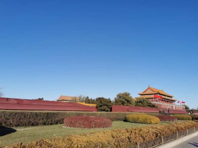 李强：把做强国内大循环作为推动经济行稳致远的战略之举