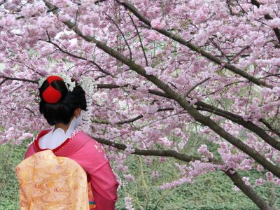 前日本央行官员：由于无可替代资产，日本很可能并未抛售美债