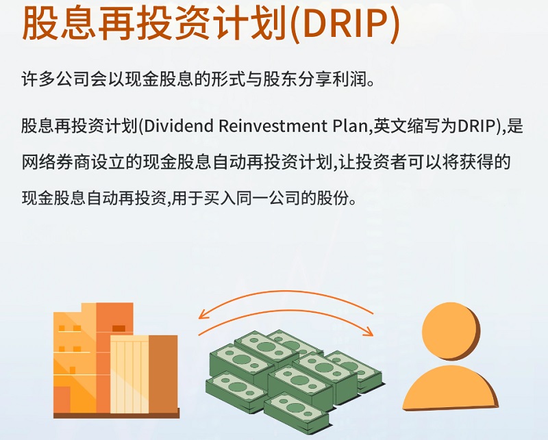 股息再投入（股息再投资计划）
