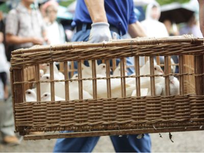 全球央行深陷貿易與政治“迷霧”，降息前景撲朔迷離