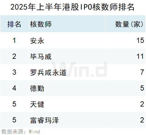 2025年上半年港股承销排行榜发布 港股一级市场股权融资额同比大幅上升318% - 图片27