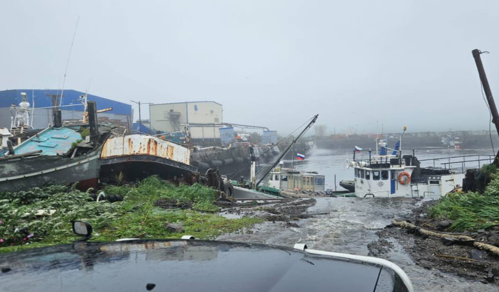 俄羅斯勘察加半島8.8級強震，環太平洋拉響海嘯警報，中國啓動海洋災害二級應急響應 - 圖片4