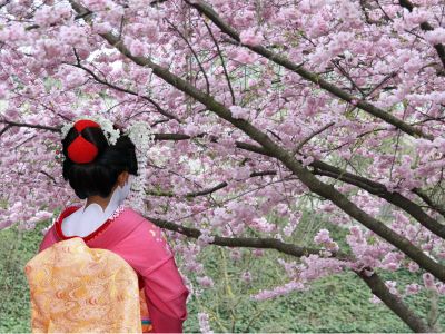 为加息“留门”？日本央行如期按兵不动 但通胀预测上调幅度超预期