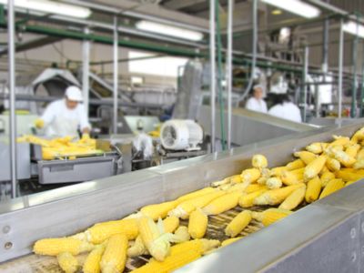 聯合國糧農組織：肉類與食用油價格攀升，全球食品價格創兩年新高