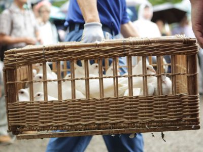 小摩“超鸽”预测：美联储9月起或连续降息四次