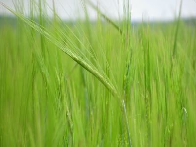 财政部：规范PPP存量项目建设和运营 鼓励金融机构优化融资结构