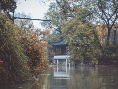 市场监管总局召开综合整治市场竞争秩序防范非理性竞争部署推进会