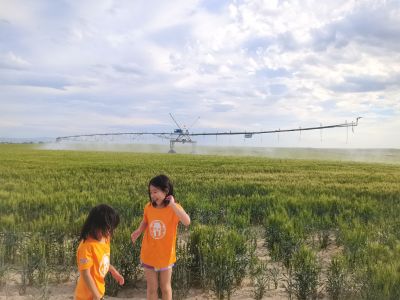 农业农村部：2024年全国粮食产量首次突破1.4万亿斤 谷物基本自给、口粮绝对安全