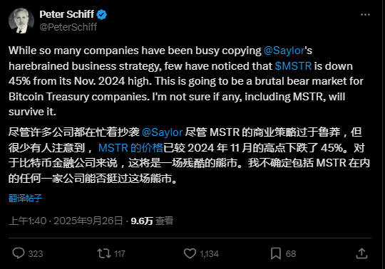 Peter Schiff：我一直認爲刺破比特幣泡沫的會是黃金，沒想到是白銀，“數字幣財庫公司”面臨殘酷熊市 - 圖片2