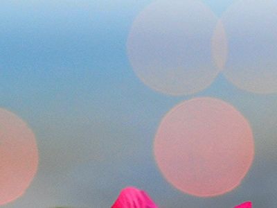 美國消費者信心降至五個月低點 政府關門風險加大美聯儲決策難度