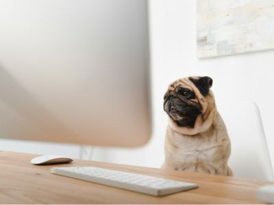 Omdia：到2027年 中東媒體和娛樂支出預計將翻倍增至360億美元