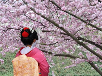 日股新高下的央行警告：早期过热迹象显现 紧盯美国政策风险