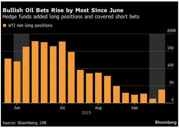 AI热潮中“黑天鹅”若隐若现:数据中心能耗攀升或将推高利率 - 图片10