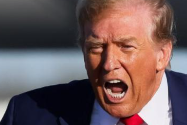 决定特朗普关税命运的诉讼--周三开启庭审，原告是一家小玩具厂商，大公司却不见踪影