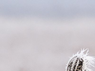 受生产放缓与需求乏力拖累 美国制造业连续八个月萎缩