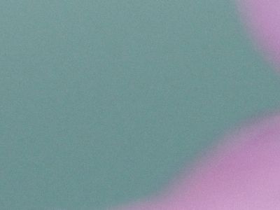 美国消费者信心骤降至三年多来最低水平 对未来一年通胀预期略有上升