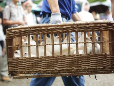 就业比通胀更危险！旧金山联储主席称12月降息必要性正在上升