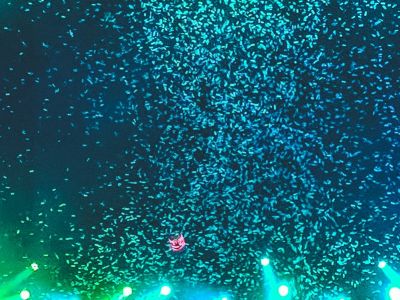 美国假日购物季开局强劲 感恩节当日视频游戏机销量飙升740%