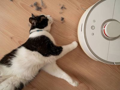 IDC：前三季度全球智能扫地机器人市场累计出货1742.4万台 同比增长18.7%