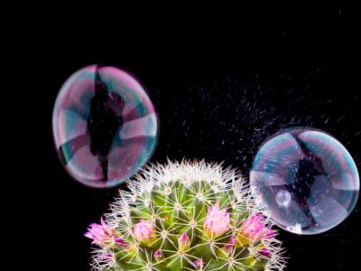 2026美股展望：AI泡沫的内部熔点与外部拐点