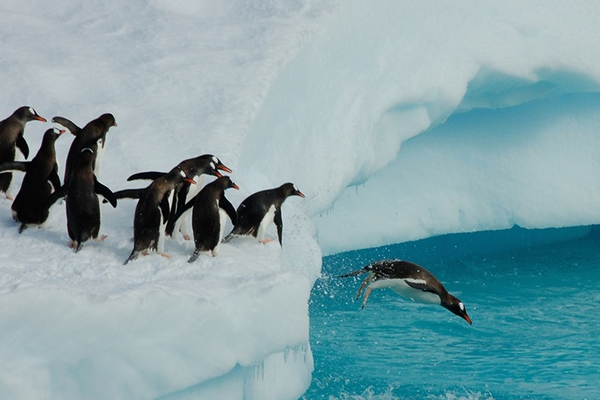 AI担忧冲击，日韩股市全线下跌，金银铜上涨