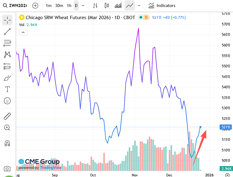 连涨5日！地缘政治风险与极端天气“共振”，小麦迎来8个月来最强反弹 - 图片1