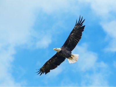 国家市场监管总局等六部门发布《现代物流标准化重点工作计划(2025—2027年)》