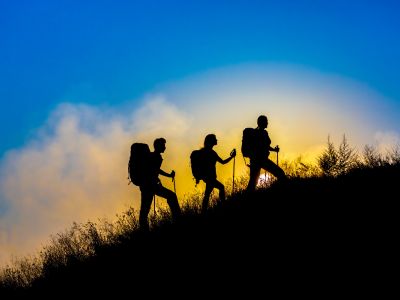 证监会：对上市公司出现违法违规但董事会秘书未勤勉尽责的 严格采取监管措施或者实施处罚