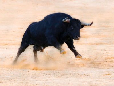 国信证券：A股26年牛市的变与不变