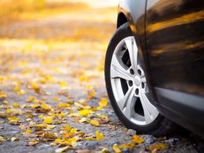 崔东树：2025年全国乘用车批发增速9% 新能源乘用车批发增速25%