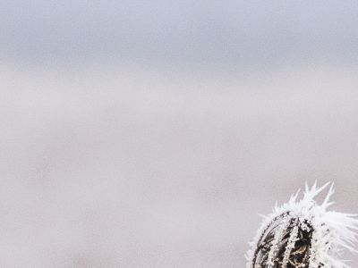 前欧洲央行官员力挺鲍威尔 称削弱央行独立性或危及全球金融体系