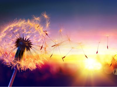 Omdia：2025年全球智能手机出货量12. 5亿部 同比增长2%