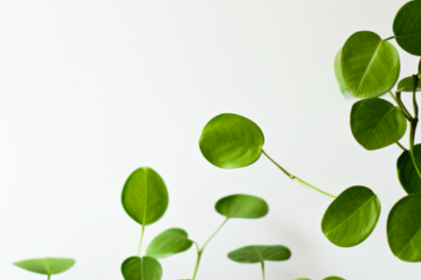 中国1月LPR连续第八个月维持不变：5年期以上LPR为3.5%，1年期LPR为3%