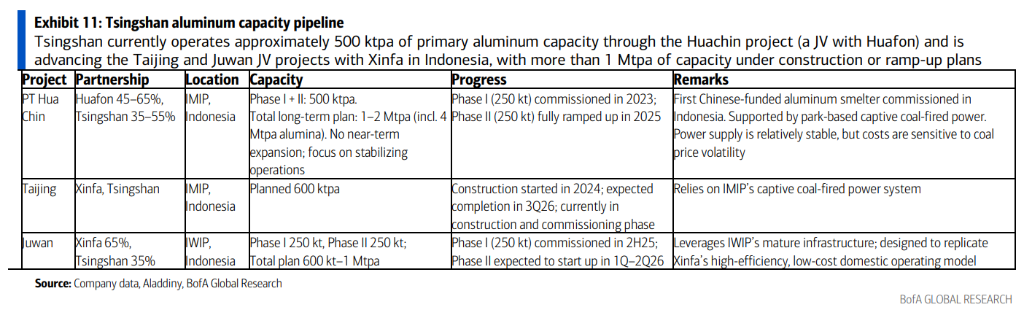 青山集团:全球‘镍矿和不锈钢老大’进军铝业和电池 - 图片3