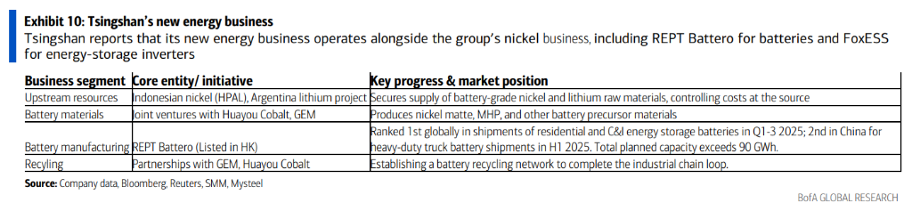 青山集团:全球‘镍矿和不锈钢老大’进军铝业和电池 - 图片4