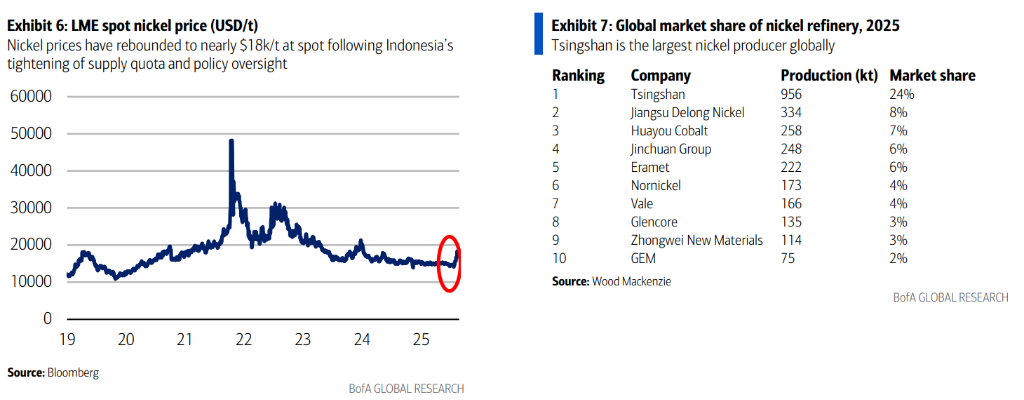 青山集团:全球‘镍矿和不锈钢老大’进军铝业和电池 - 图片1