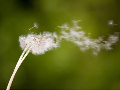 Omdia：至2029年零售商将控制北美电视操作系统市场份额的47%