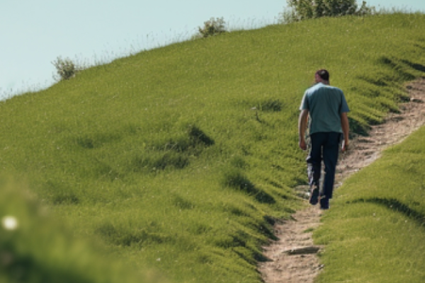 繁荣背后的“流动性幻觉”：加拿大新规与澳洲加息共震，2026流动性并非单边宽松