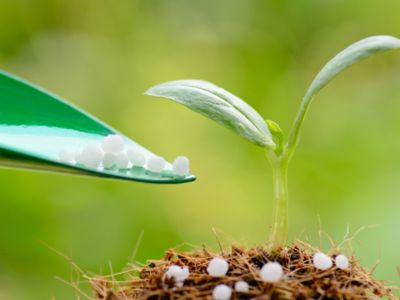 国家发改委：保障化肥生产原料供应 做好化肥保供稳价工作