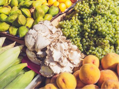 预制菜不得使用防腐剂、保质期不应超一年 预制菜国标今日征求意见