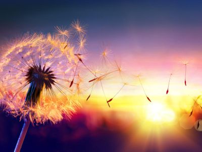 仲量联行：预计到2030年全球数据中心总容量将由103GW增至200GW