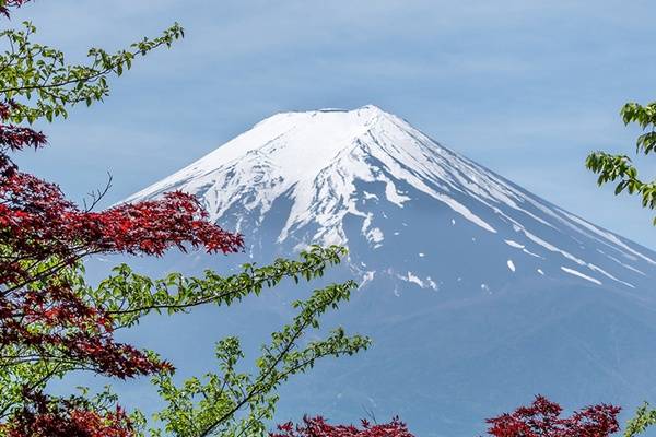 担忧新关税波及5500亿合作，日本急电美方划红线：贸易协定不能开倒车！