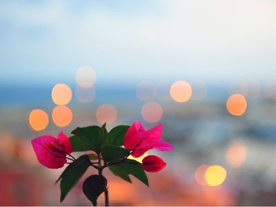 AI焦虑情绪挥之不去 长期美债受投资者追捧 收益率跌至数月低位