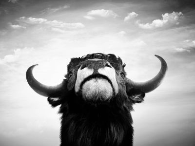 华尔街投行无视炮火与通胀 坚定看好美股今年上涨行情